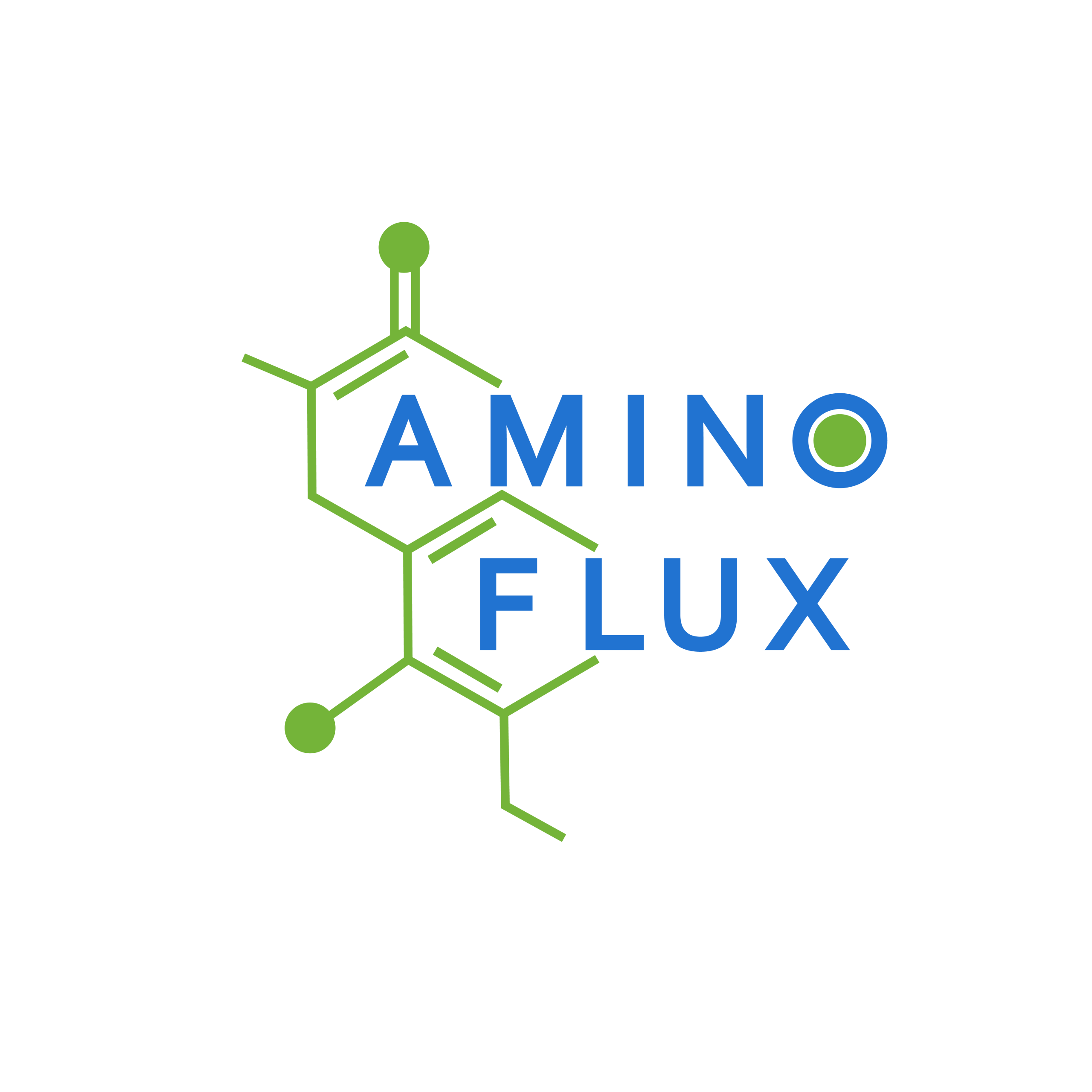 Amino Flux 